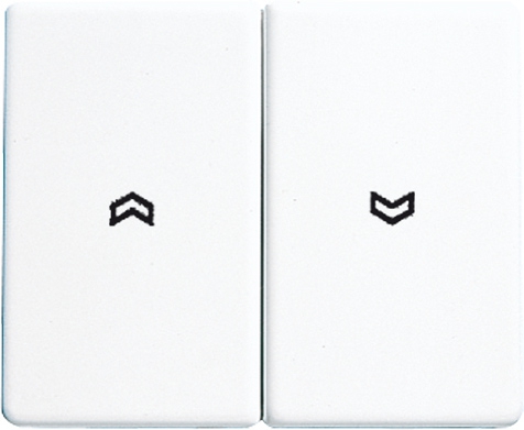 Wippe, Symbole, für Jalousie-Wippschalter, Jalousie-Taster und Taster BA 2fach   / Art. SL 595 P GB
