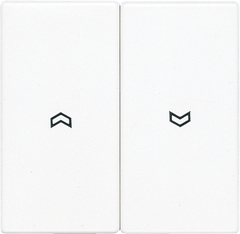 Wippe, Symbole, für Jalousie-Wippschalter, Jalousie-Taster und Taster BA 2fach   / Art. LS 995 P SW