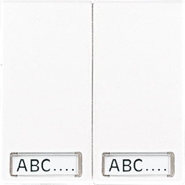 Wippe, Schriftfelder, für Serienschalter, ..., Multi-Switch und Taster BA 2fach   / Art. LS 995 NA WW