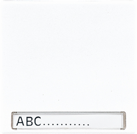 Wippe, Schriftfeld, für Wippschalter, Tastschalter, Taster und Taster BA 1fach   / Art. LS 990 NA LG