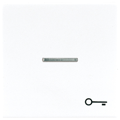 Wippe, Symbol Tür, Linse, Lichtleiter, für beleuchtbare Taster   / Art. LS 990 KO5T