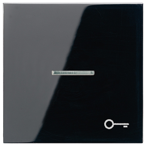 Wippe, Symbol Tür, Linse, Lichtleiter, für beleuchtbare Taster   / Art. LS 990 KO5T SW