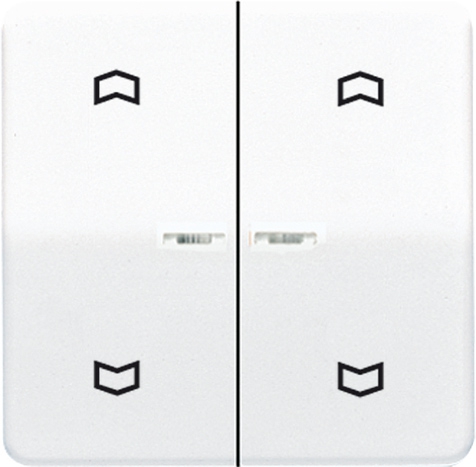 Wippe, Symbole Pfeile, Linsen, Lichtleiter, für Taster BA 2fach Mittenstellung   / Art. CD 595 KO5MP GB