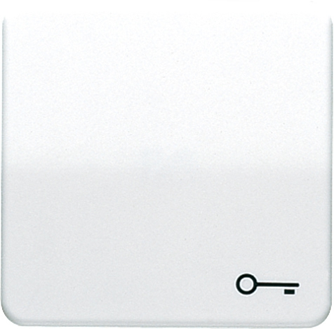 Wippe, Symbol Tür, bruchsicher, für Taster 531 U, 533 U, 533-2 U und 534 U   / Art. CD 590 BFT WW