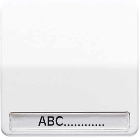 Wippe, Schriftfeld, für Wippschalter, Tastschalter, Taster und Taster BA 1fach   / Art. CD 590 NA BR