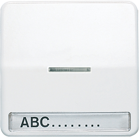 Wippe, Linse, Schriftfeld, für Kontrollschalter, beleuchtbare Taster …   / Art. CD 590 NAKO5 LG