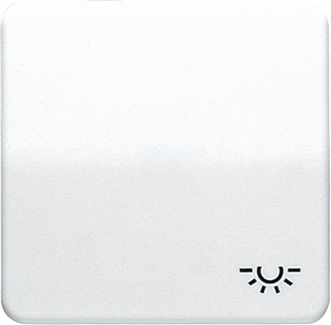 Wippe, Symbol Licht, für Taster   / Art. CD 590 L