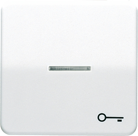 Wippe, Symbol Tür, Linse, Lichtleiter, für beleuchtbare Taster   / Art. CD 590 KO5T WW