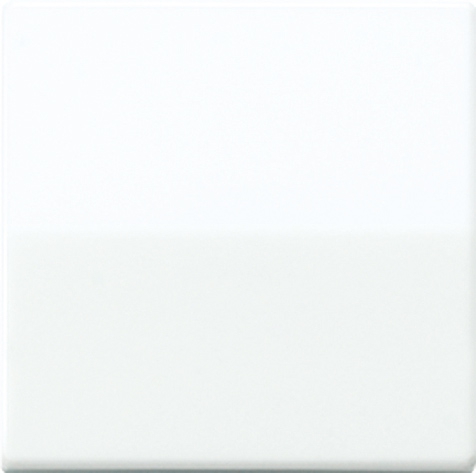 Wippe, Schraubbefestigung, Zentralplatte, bruchsicher, für Wippschalter, Tastschalter und Taster   / Art. AS 591 BFS WW