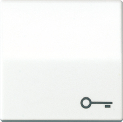 Wippe, Symbol Tür, Zentralplatte, für Taster   / Art. AS 591 T