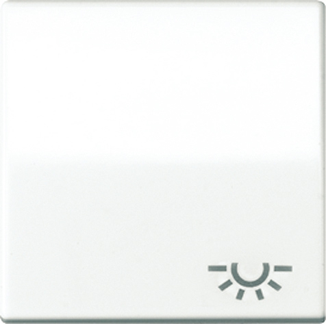 Wippe, Symbol Licht, Zentralplatte, antibakteriell, für Taster   / Art. ABAS 591 L WW