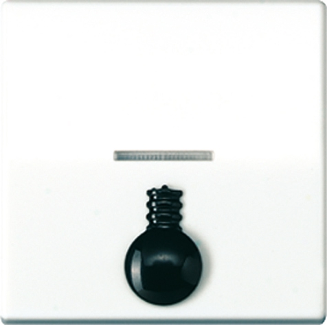 Wippe, abtastbares Symbol Licht, Linse, Lichtleiter, Zentralplatte, antibakteriell, für beleuchtbare Taster   / Art. ABAS 591 L1KO5 WW