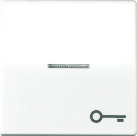 Wippe, Symbol Tür, Linse, Lichtleiter, Zentralplatte, für beleuchtbare Taster   / Art. AS 591 KO5T