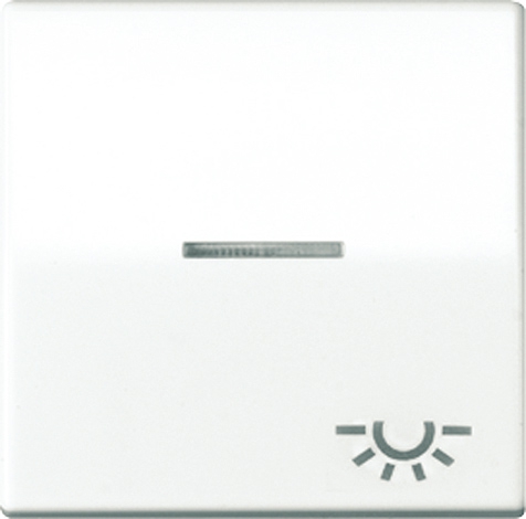 Wippe, Symbol Licht, Linse, Lichtleiter, Zentralplatte, antibakteriell, für beleuchtbare Taster   / Art. ABAS 591 KO5L