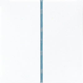 Tastensatz, 1fach, komplett   / Art. ES 2401 TSA