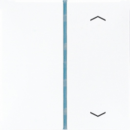 Taste, 1fach, Symbole Auf/Ab   / Art. ES 2401 TSAP
