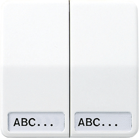 Wippe, Schriftfelder, für Seriensch., Doppel-Wechselsch., ... und Multi-Switch   / Art. CD 595 NA BR