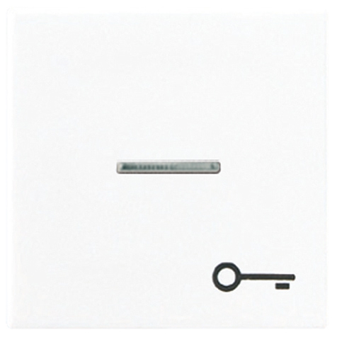 Wippe, Symbol Tür, Linse, Lichtleiter, für beleuchtbare Taster   / Art. A 590 KO5T WW