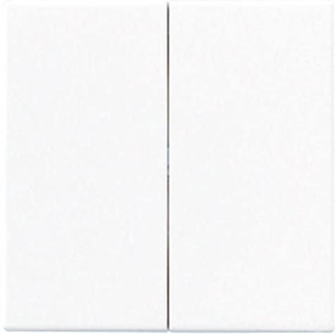 Kurzhubtaste, für Serien-Tastdimmer Universal 1252 UDE   / Art. A 1565.07 WW