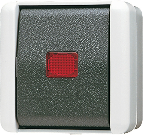 Wipp-Kontrollschalter, 10 AX, 250 V ~, rotes Lichtaustrittsfenster, Kennzeichnung 1 / 0, Aus 2-polig   / Art. 802 KOW
