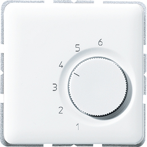 Raumtemperaturregler, 10/5 (4/2) A, AC 24 V ~, Wechsler 1-polig   / Art. TR CD 246 GB