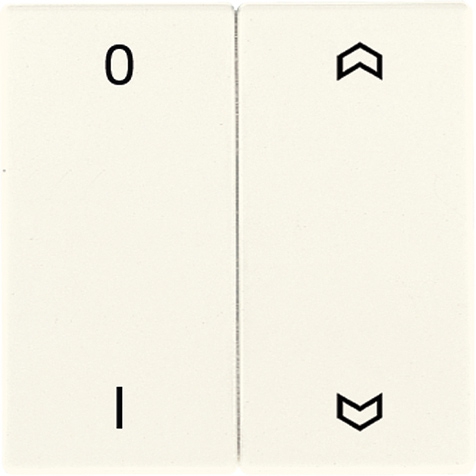 EnOcean Funk-Wandsender, Symbole 01, Pfeil-Symbole Auf/Ab, 2-kanalig   / Art. ENO LS 995 P01