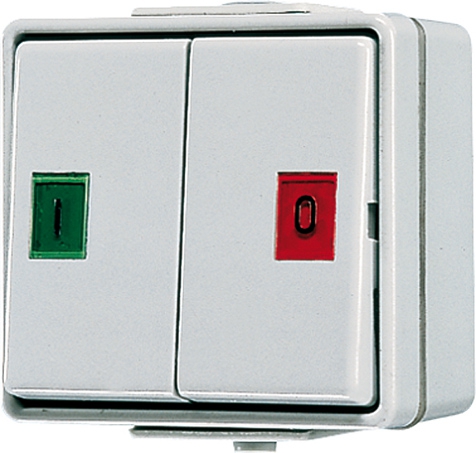 Doppel-Taster, 10 AX, 250 V ~, 2 Wechsler, Symbolsortiment   / Art. 639 W