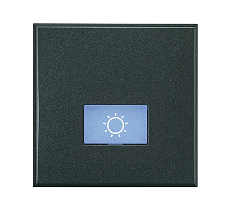 Symbolwippe für Axialschalter bedruckt mit  • Lampe •  2-modulig Anthrazit