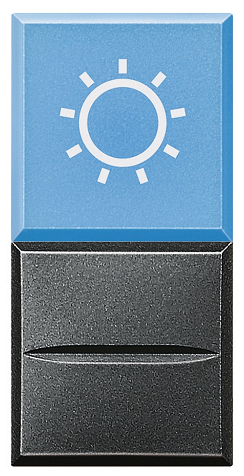 Axialtaster mit Beleuchtung blau Symbol • LAMPE •  1-polig 230V AC 10A Anthrazit