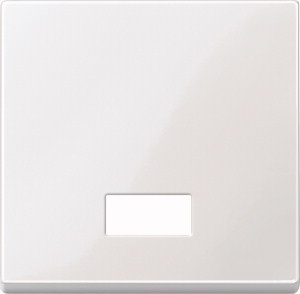 Wippe mit rechteckigem Symbolfenster, polarweiß glänzend, System M