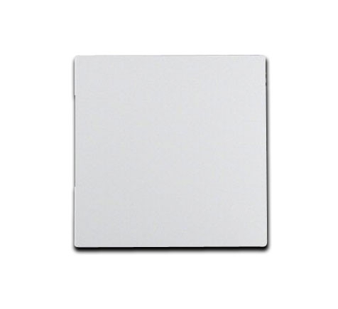 Berker UP Wippe S.1/B.1/B.3/B.7 Glas - polarweiß matt