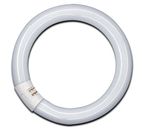 Leuchtstofflampe in Ringform 2.200 Lumen / 40W / 765C