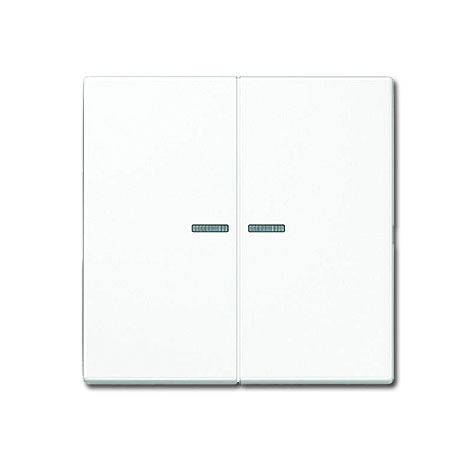 Jung LS Serien-Wippe zweiteilig mit Lichtleiter 70 x 70 mm - beleuchtbar im Sinne der Arbeitsstättenverordnung - Duroplast Alpinweiß glänzend