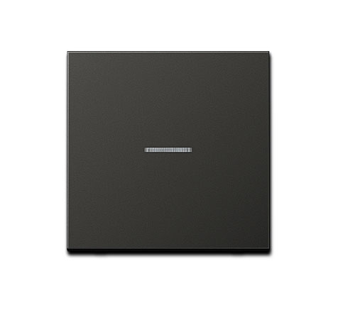 Jung Wippe für Taster BA 1fach mit Lichtleiter / 70 x 70 mm / Aluminium lackiert / Anthrazit