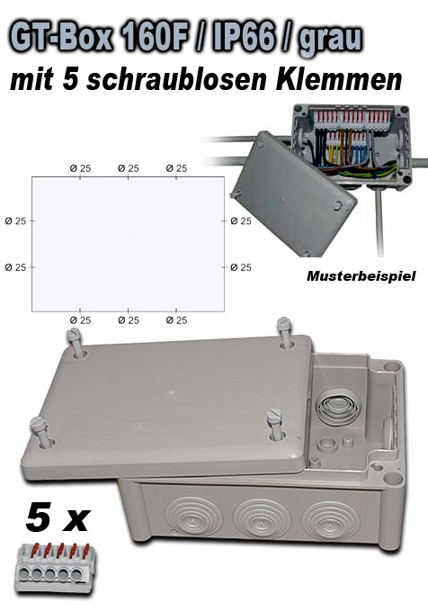 GT Box 160F / IP66 mit 5 schraublosen Klemmen 5-polig, 4 mm2 / grau