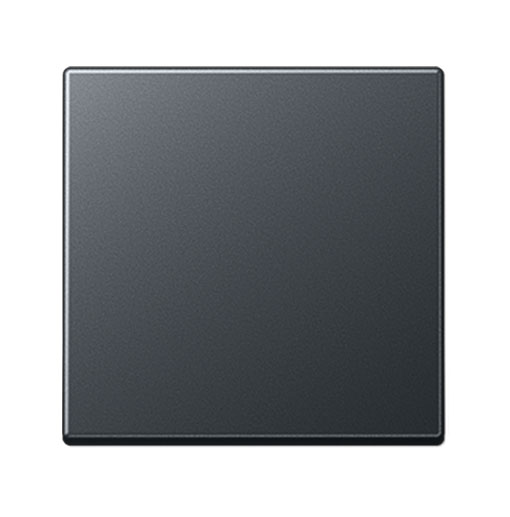 Jung Wippe für Taster BA 1fach / 55 x 55 mm / anthrazit matt