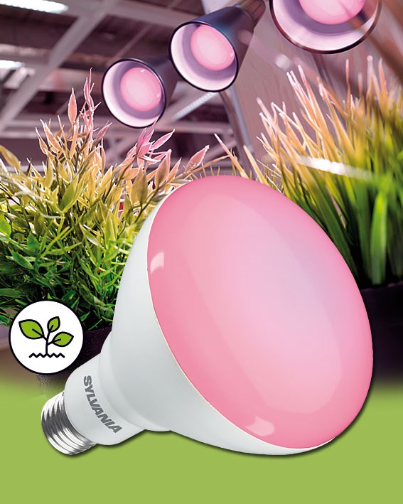 LED-Pflanzenlampen E27