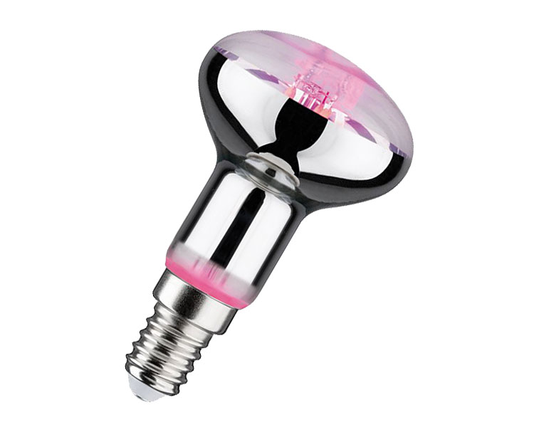 LED Wachstumslampe R50 / 100 lm / 4W / E14 / 230V / 1.300K / Wachstumslicht