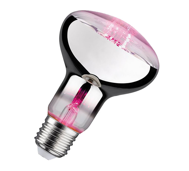 LED Wachstumslampe R80 / 200 lm / 6,5W / E27 / 230V / 1.300K / Wachstumslicht