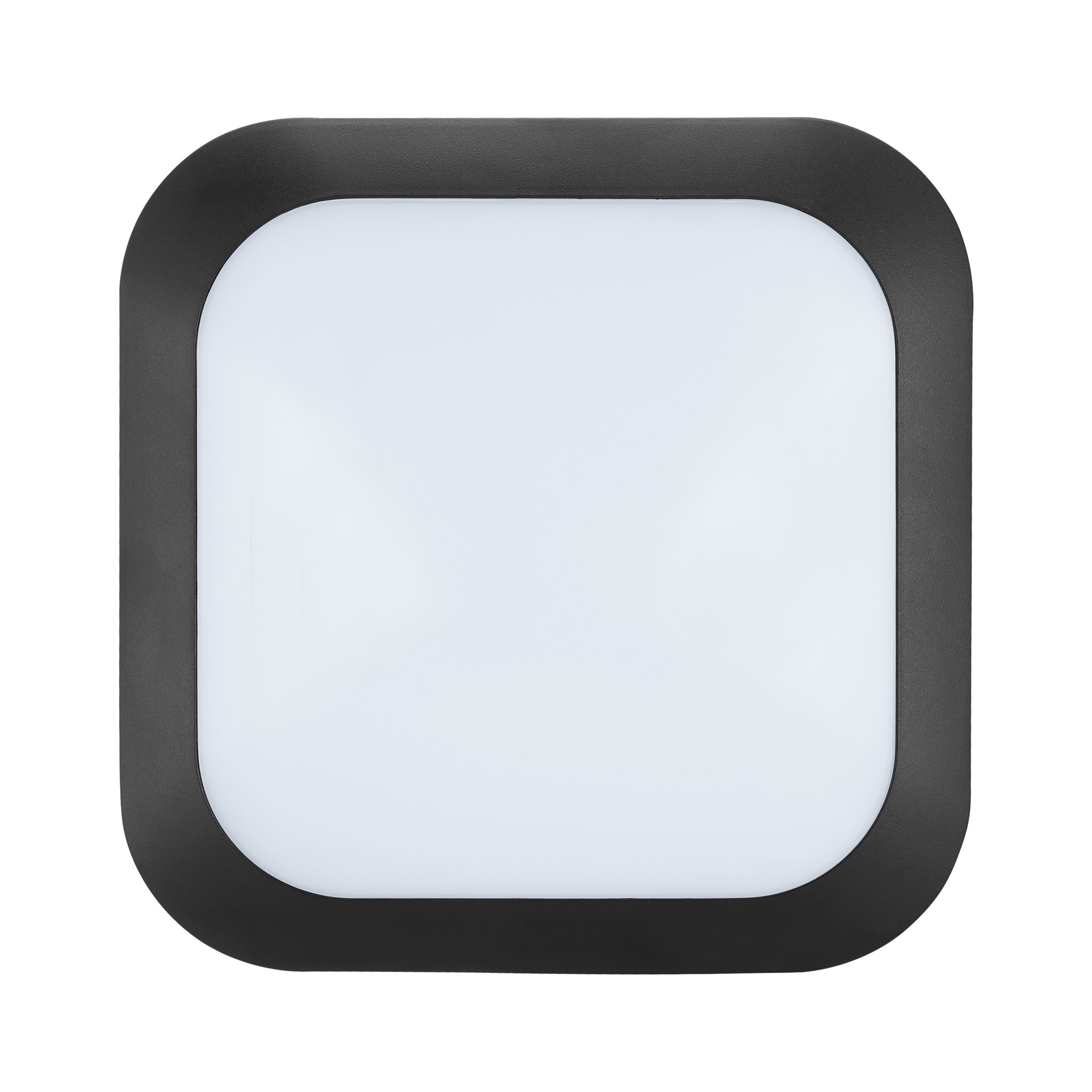 LED Außen-Wand-Deckenleuchte 1500lm/4000K/IP66/schwarz