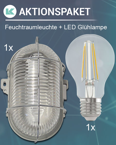  Set 1 x Feuchtraumleuchte 649PO415 + 1 x LED Glühlampe 624TU010 - 8,8W / 806lm klar