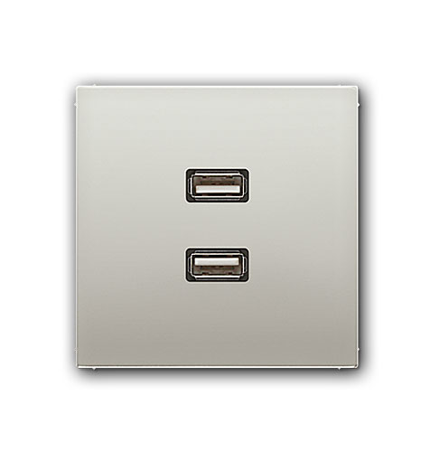 UP Multimedia Anschlußdose 2 x USB / kpl. mit Tragring / Schraubbefestigung / Farbe Edelstahl
