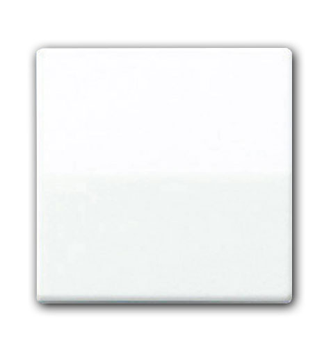 Jung Wippe transparent / 50 x 50 mm