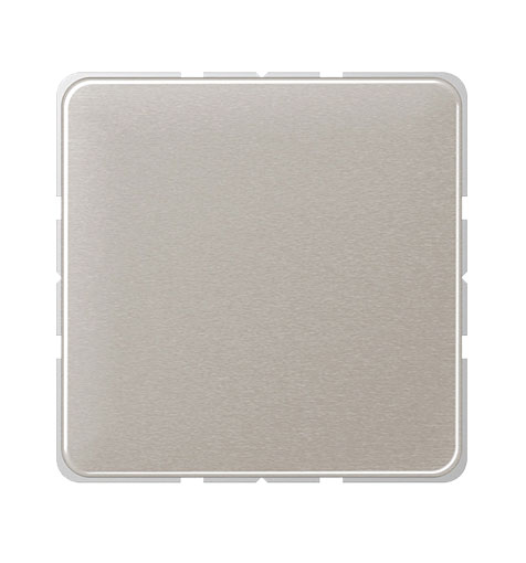 Jung Blindabdeckung mit Tragring / Aluminium Farbe Platin glänzend