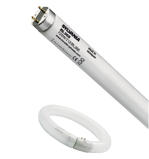 T5 Ersatzröhre für Insektenvernichter / 8 W / G5 / 230-240V / Blacklight BL368 frosted