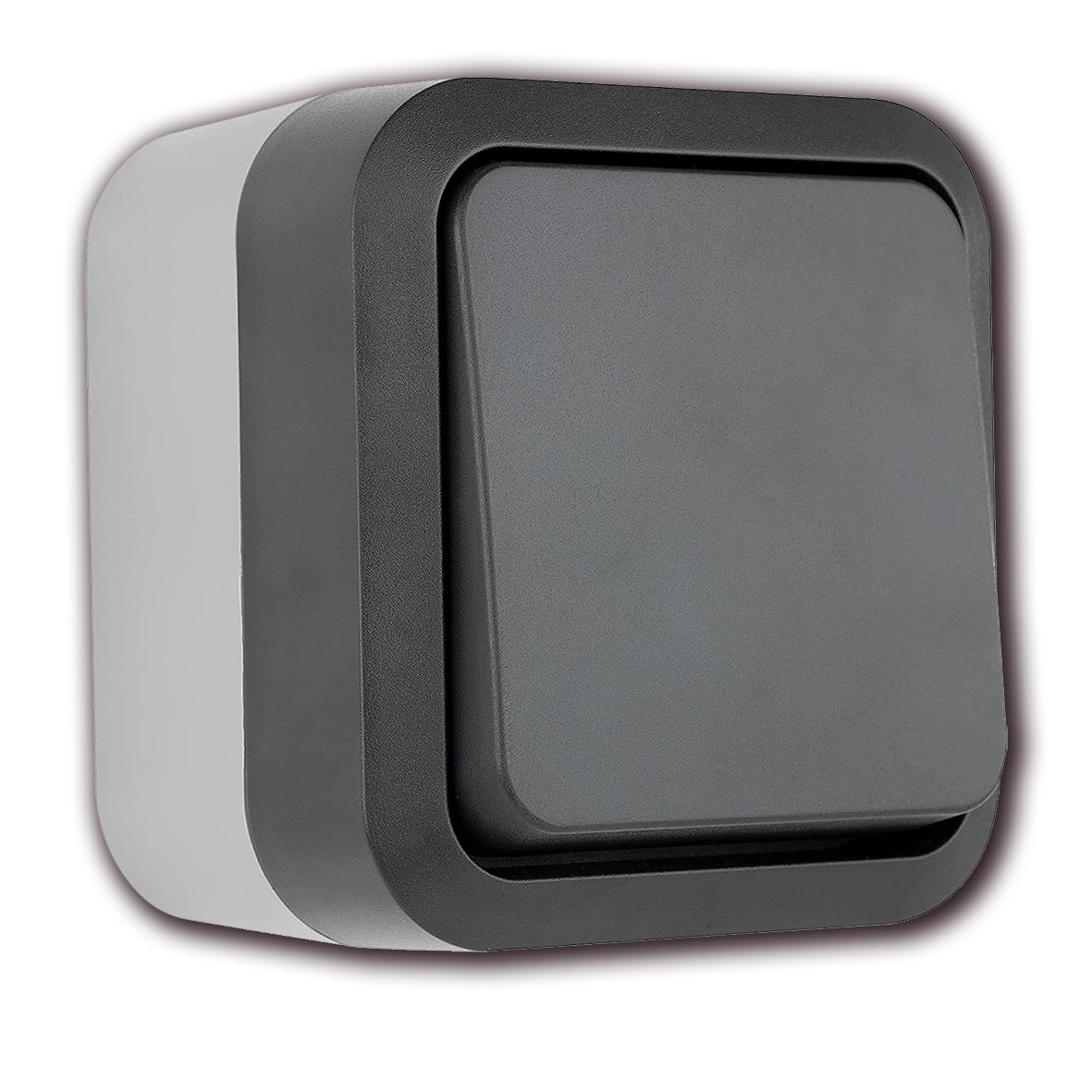 AP-FR Aquastorm Kreuzschalter anthrazit / hellgrau / IP55