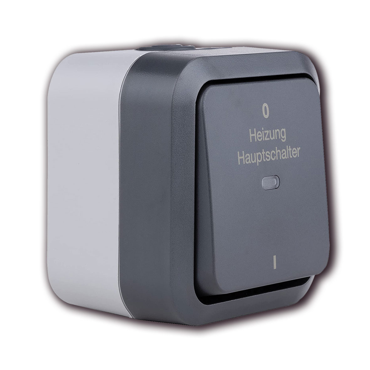 AP-FR Aquastorm Heizungs-Hauptschalter anthrazit / hellgrau / IP55