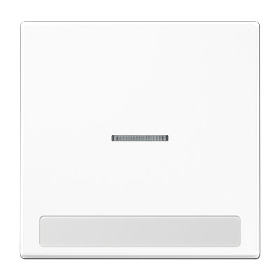 Wippe Serie LS mit Lichtleiter und Schriftfeld 9 x 58 mm / alpinweiß