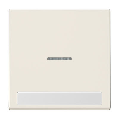 Wippe mit Lichtleiter und Schriftfeld 9 x 58 mm für Kontrollschalter / Duroplast weiß