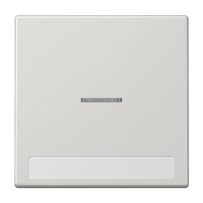 Wippe mit Lichtleiter und Schriftfeld 9 x 58 mm für Kontrollschalter / Duroplast lichtgrau